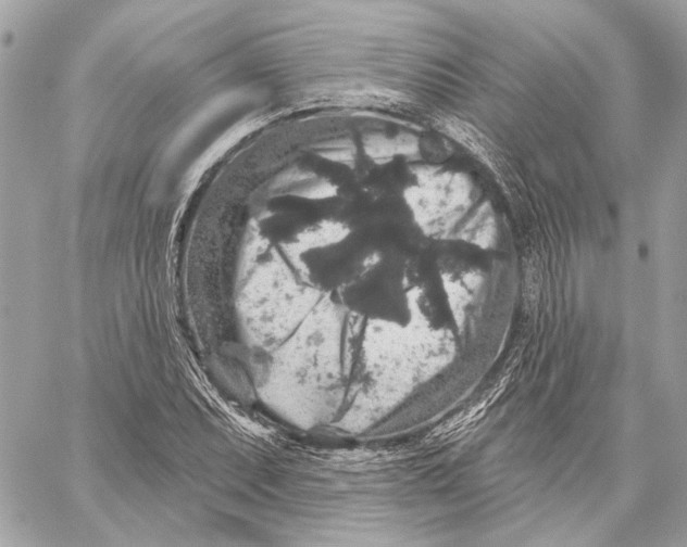 X0000059241071200511041301
