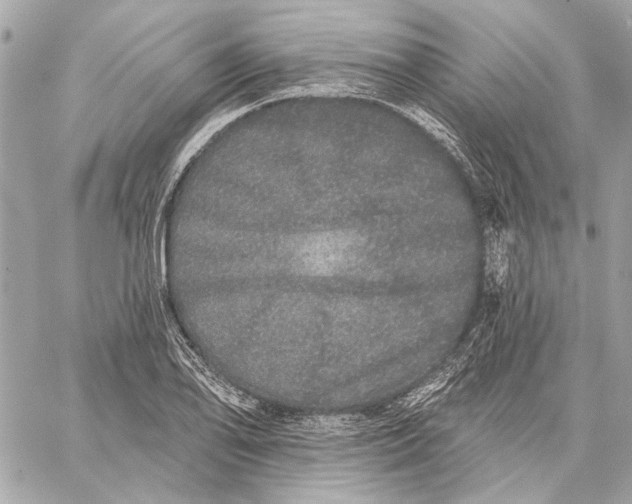 X0000059241078200511041301