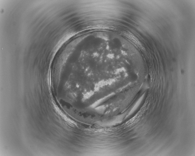 X0000059241084200511041301