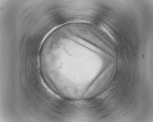 X0000059241092200511041301