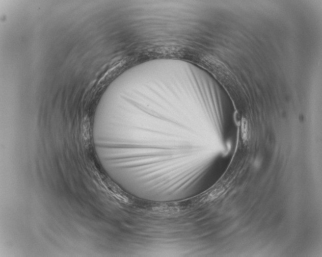 X0000059241107200511041300