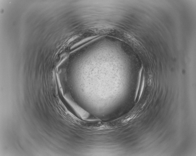 X0000059241108200511041300