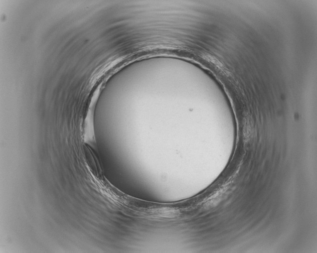X0000059241113200511041300