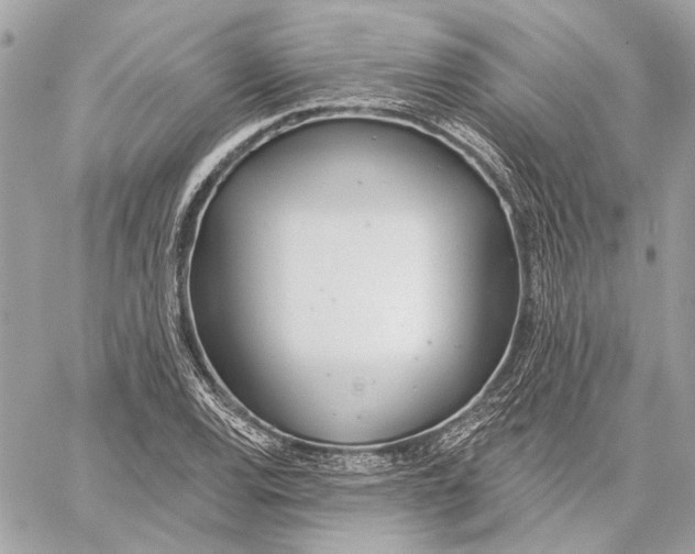 X0000059241120200511041300