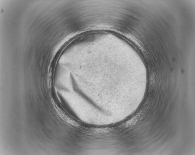 X0000059241126200511041300