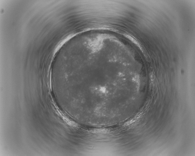 X0000059241127200511041300