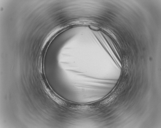 X0000059241131200511041301