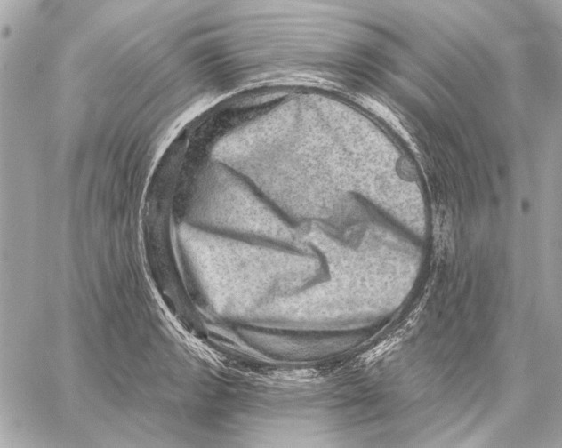 X0000059241133200511041301