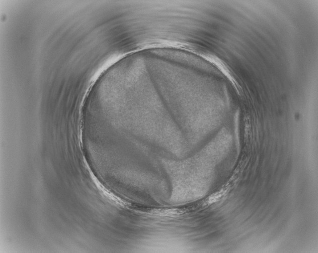 X0000059241143200511041301