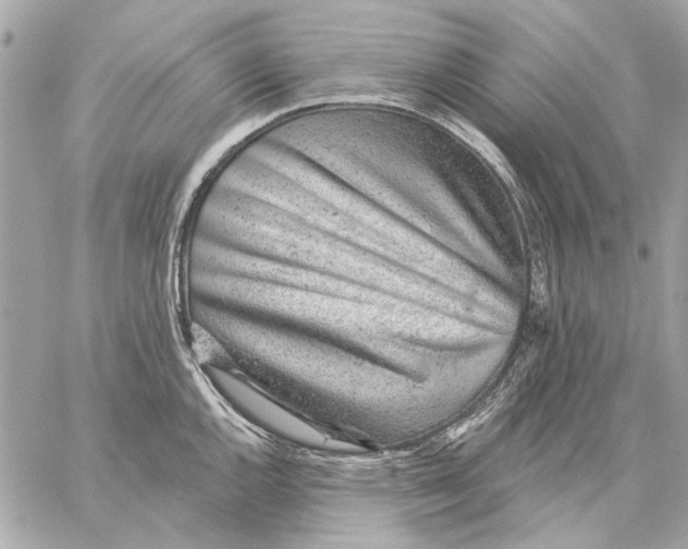X0000059241144200511041301