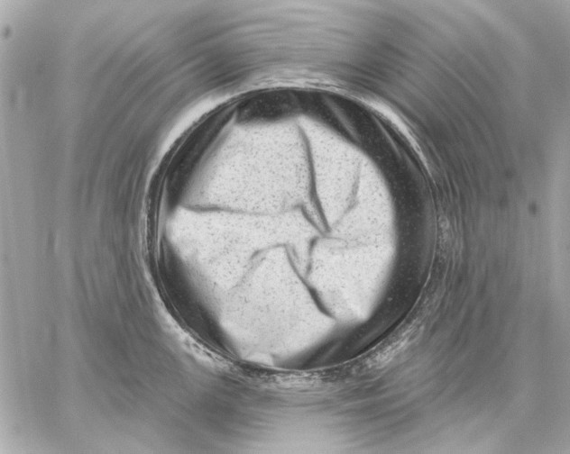 X0000059241147200511041301