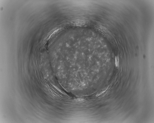 X0000059241155200511041300