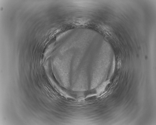 X0000059241156200511041300