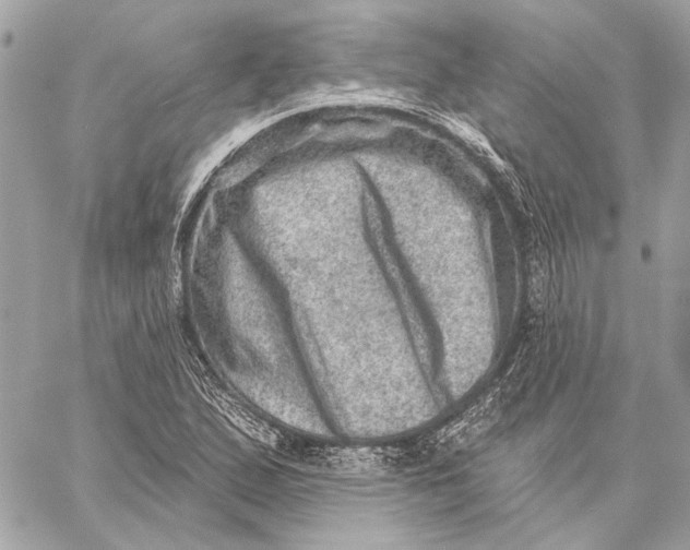X0000059241167200511041300