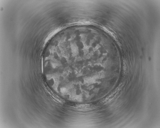X0000059241171200511041300