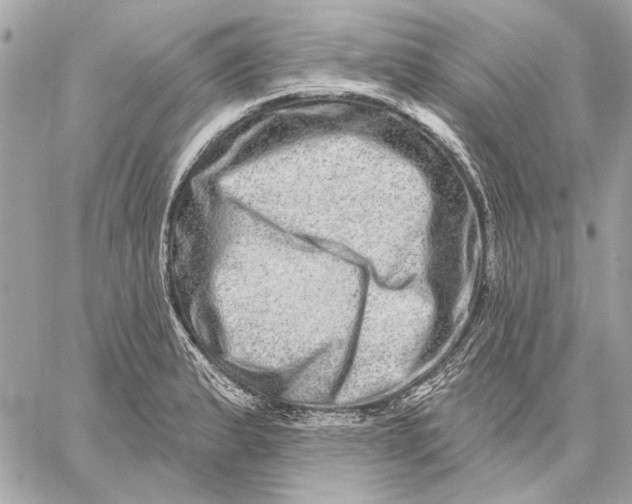 X0000059241183200511041300