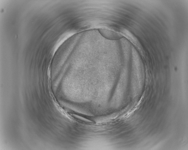 X0000059241198200511041259
