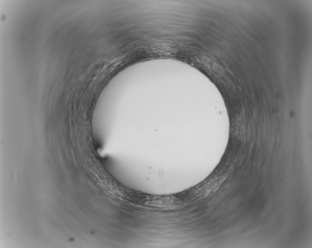 X0000059241201200511041259