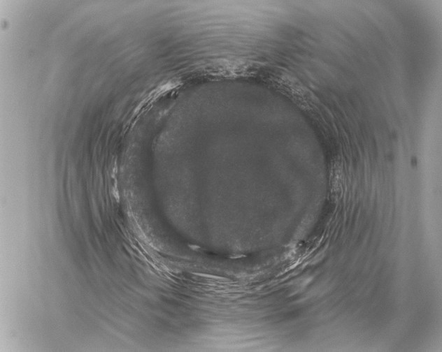 X0000059241202200511041259