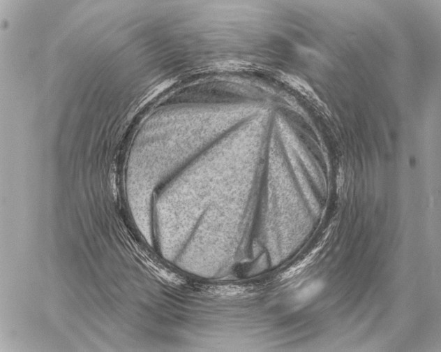 X0000059241209200511041259