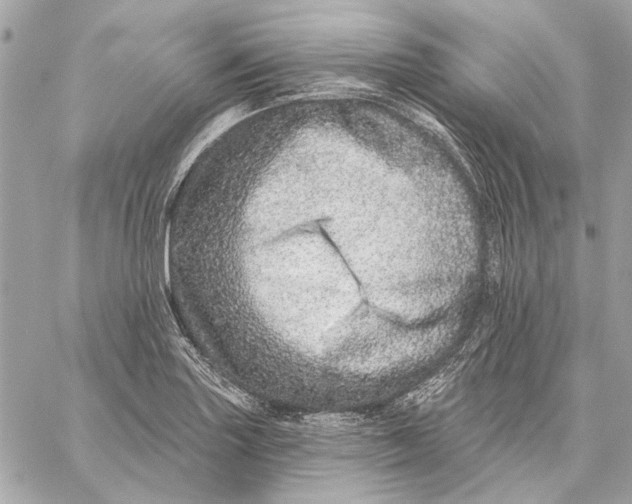 X0000059241227200511041259