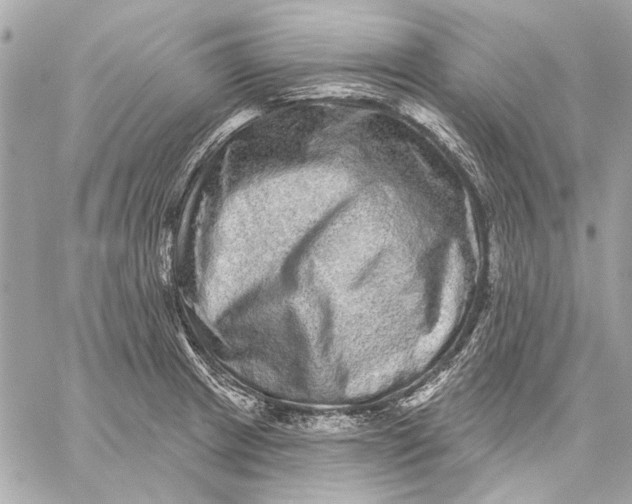 X0000059241233200511041259