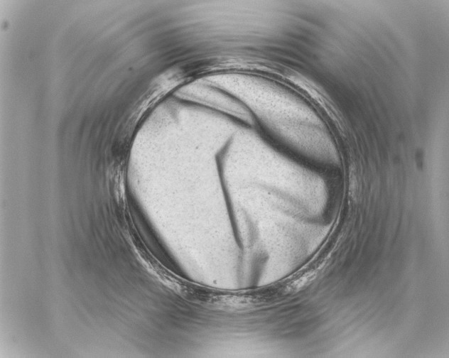 X0000059241241200511041259