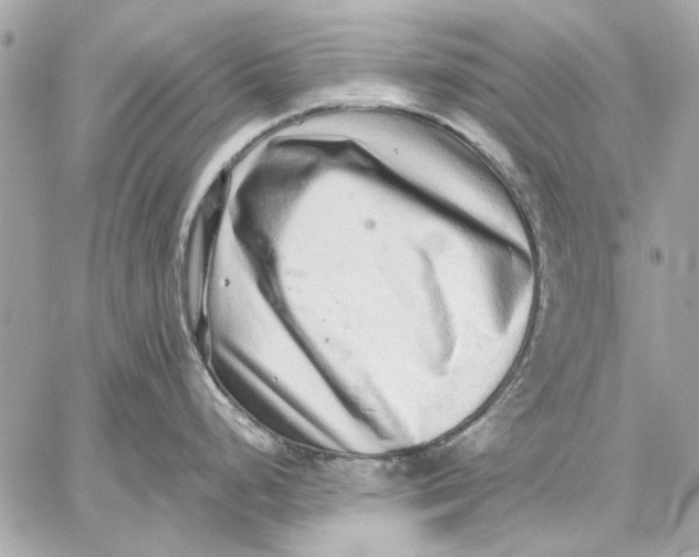 X0000059241248200511041259