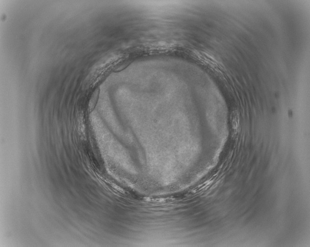 X0000059241252200511041258