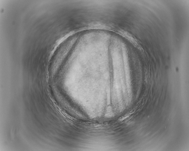 X0000059241264200511041258