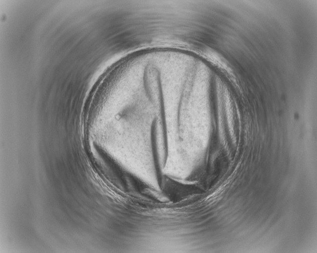 X0000059241280200511041258