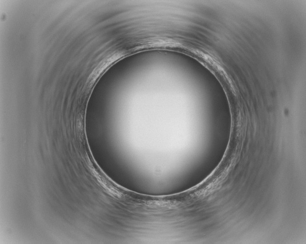 X0000059241281200511041258