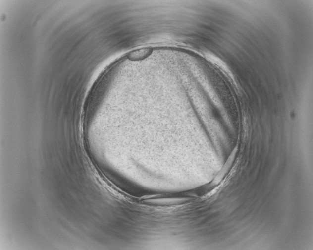X0000059241288200511041258