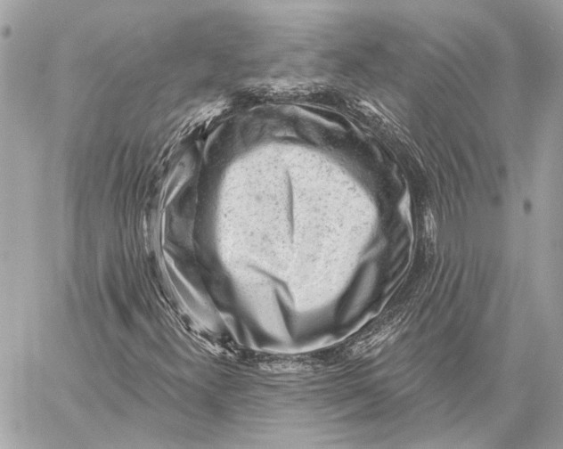 X0000059241300200511041257