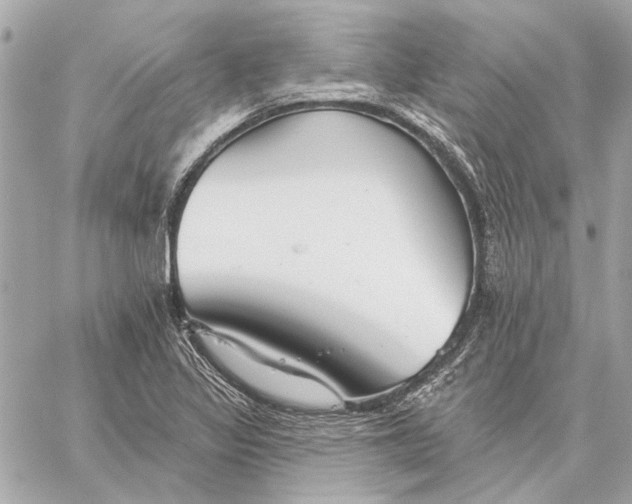 X0000059241317200511041257