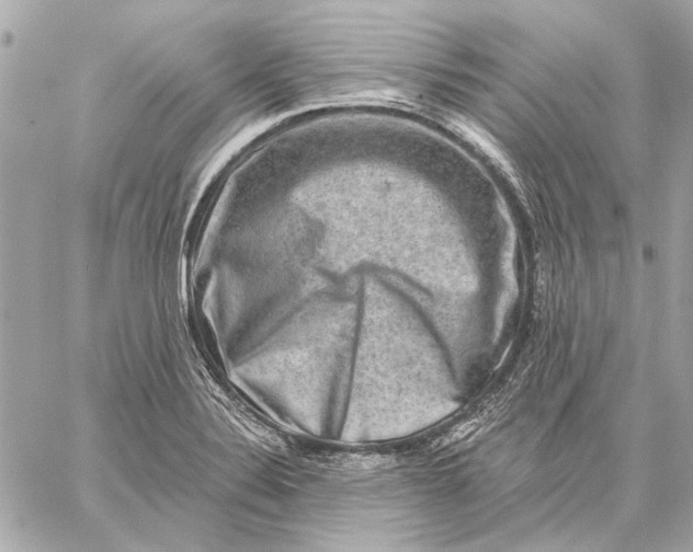 X0000059241324200511041257