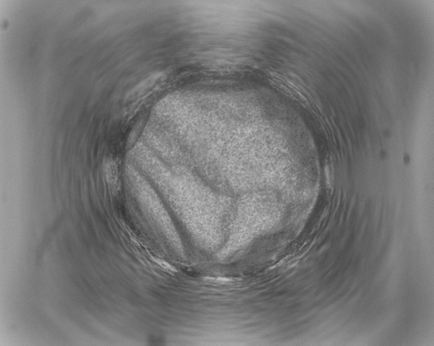 X0000059241347200511041257