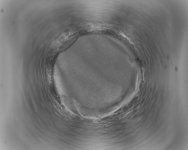 X0000059241348200511041257