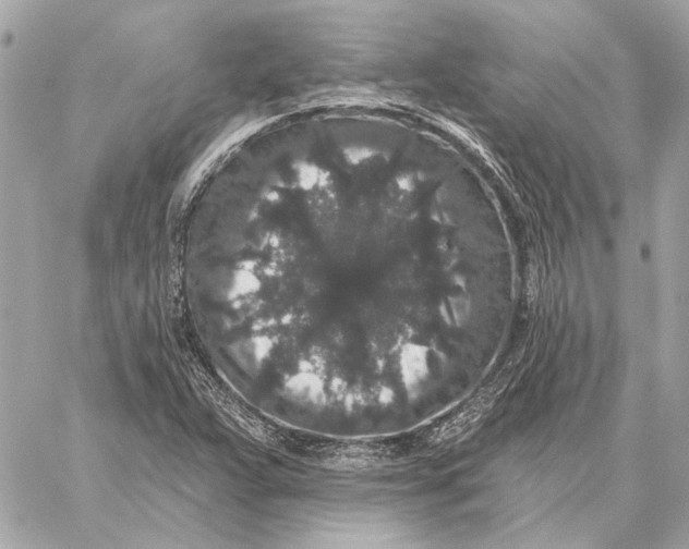 X0000059241359200511041257