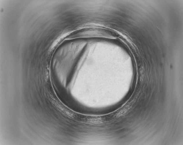 X0000059241363200511041257