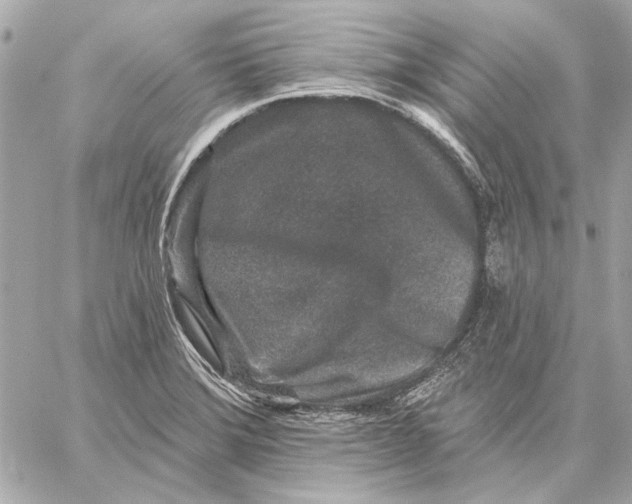 X0000059241372200511041256