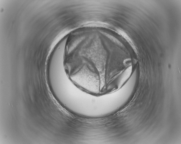 X0000059241376200511041256
