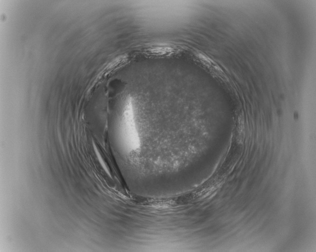 X0000059241394200511041255