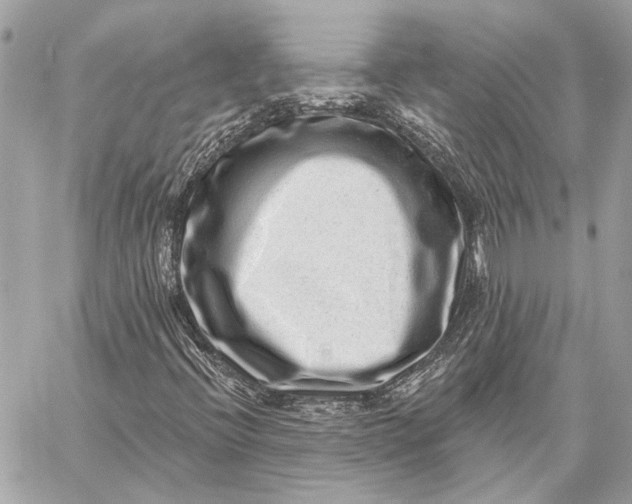 X0000059241396200511041255
