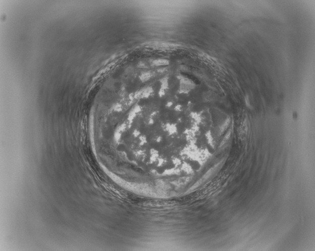 X0000059241397200511041255