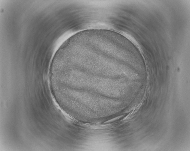X0000059241440200511041256