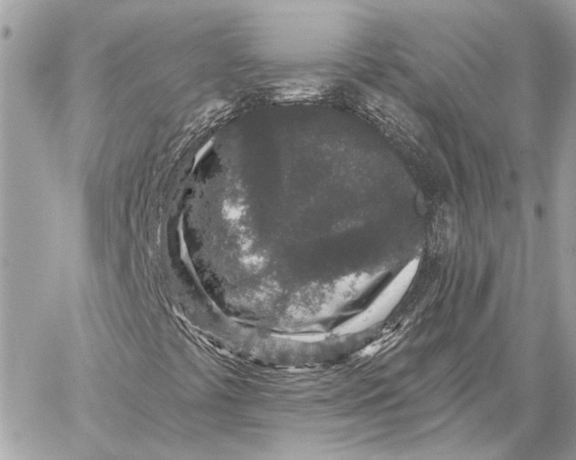 X0000059241441200511041255