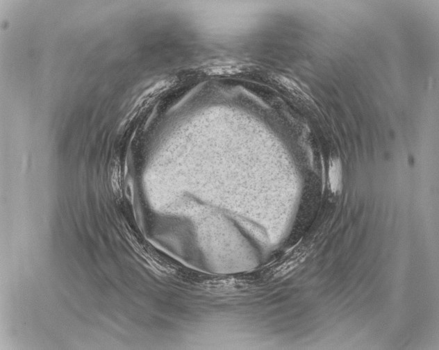 X0000059241444200511041255