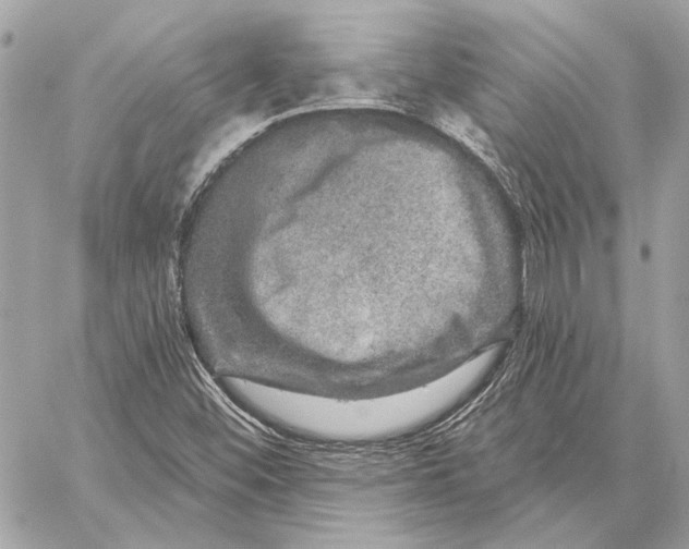 X0000059241452200511041255