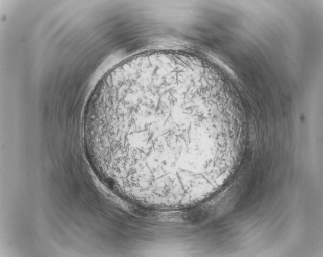 X0000059241471200511041255